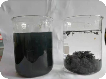 coal-sample